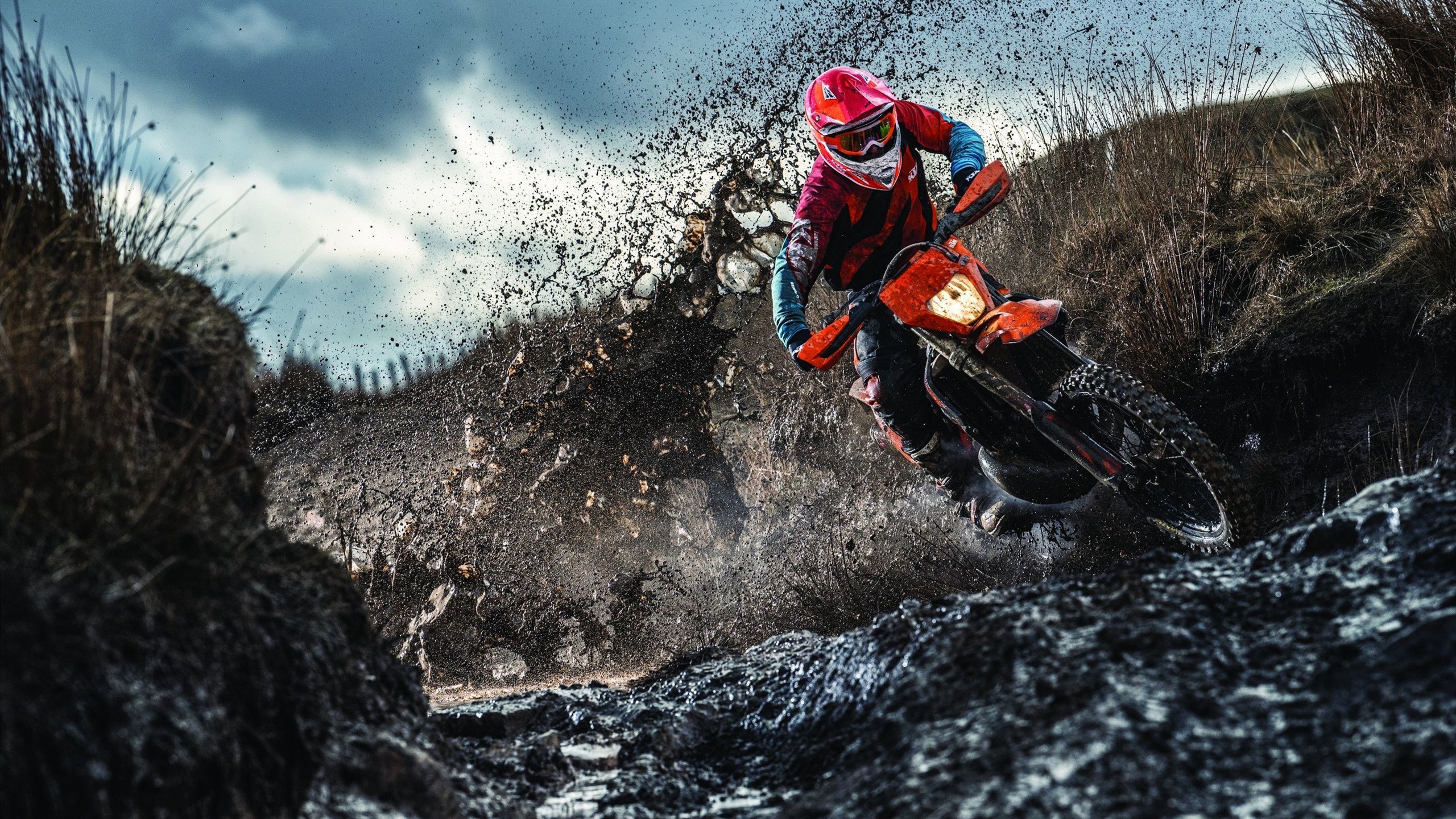 三笘薰稳定输出不掉线，奥地利淘汰牙买加