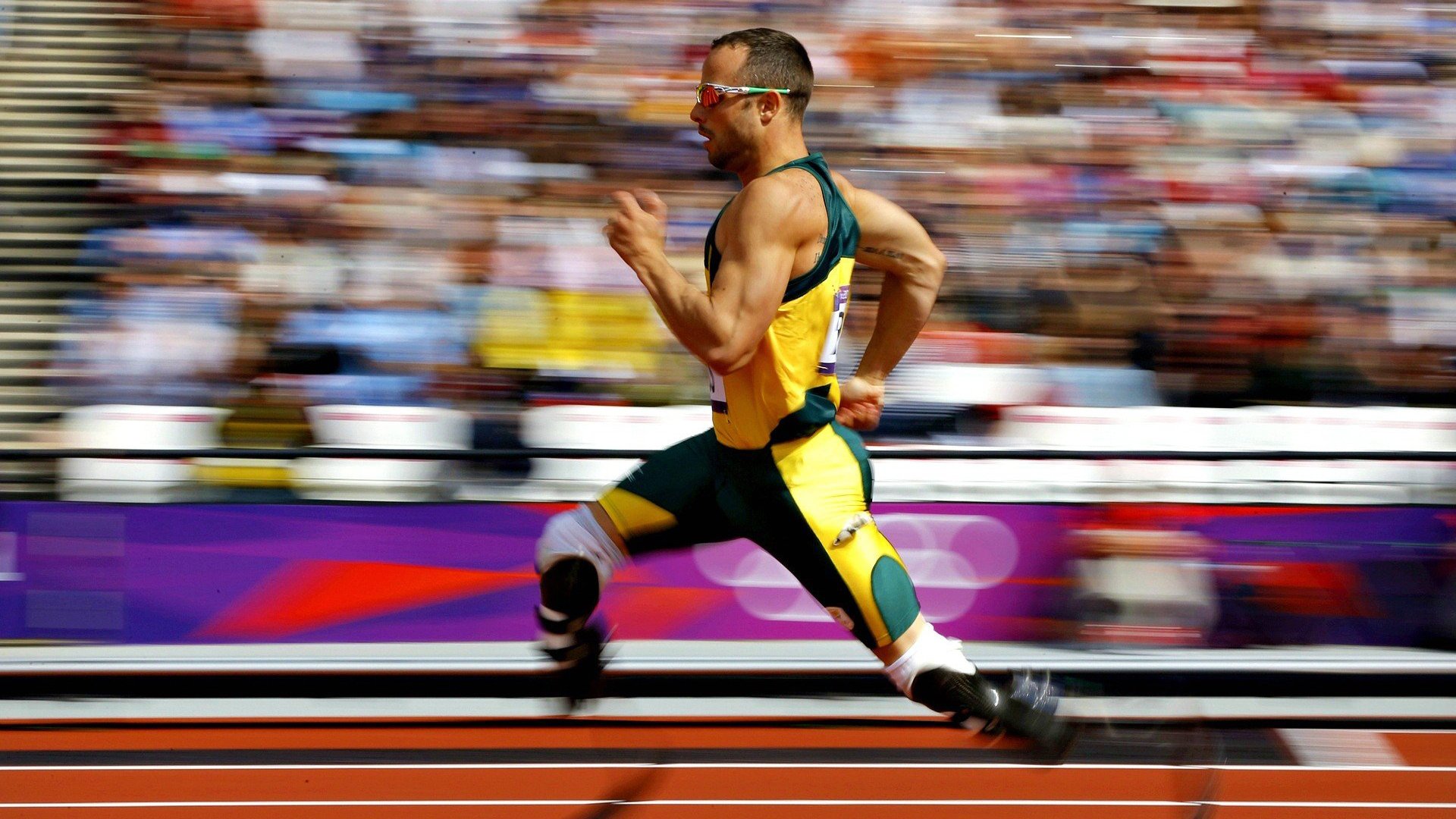 法网轻取ATP总决赛，穆雷惊艳四座，一场颠覆预期的王者归来