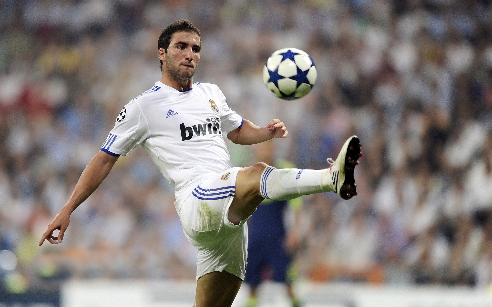 赛道上的心跳,拉塞尔点燃赛场,阿斯顿马丁绝杀威廉姆斯