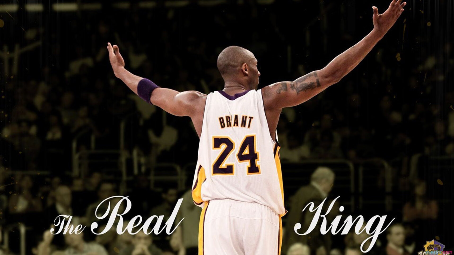 鹈鹕鏖战福建队,易建联关键制胜